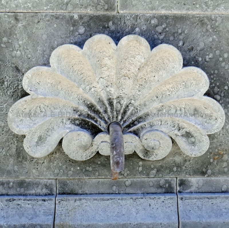 Magnifique coquille sculptée à la main par le tailleur de pierre Alain Bidal, Provence.